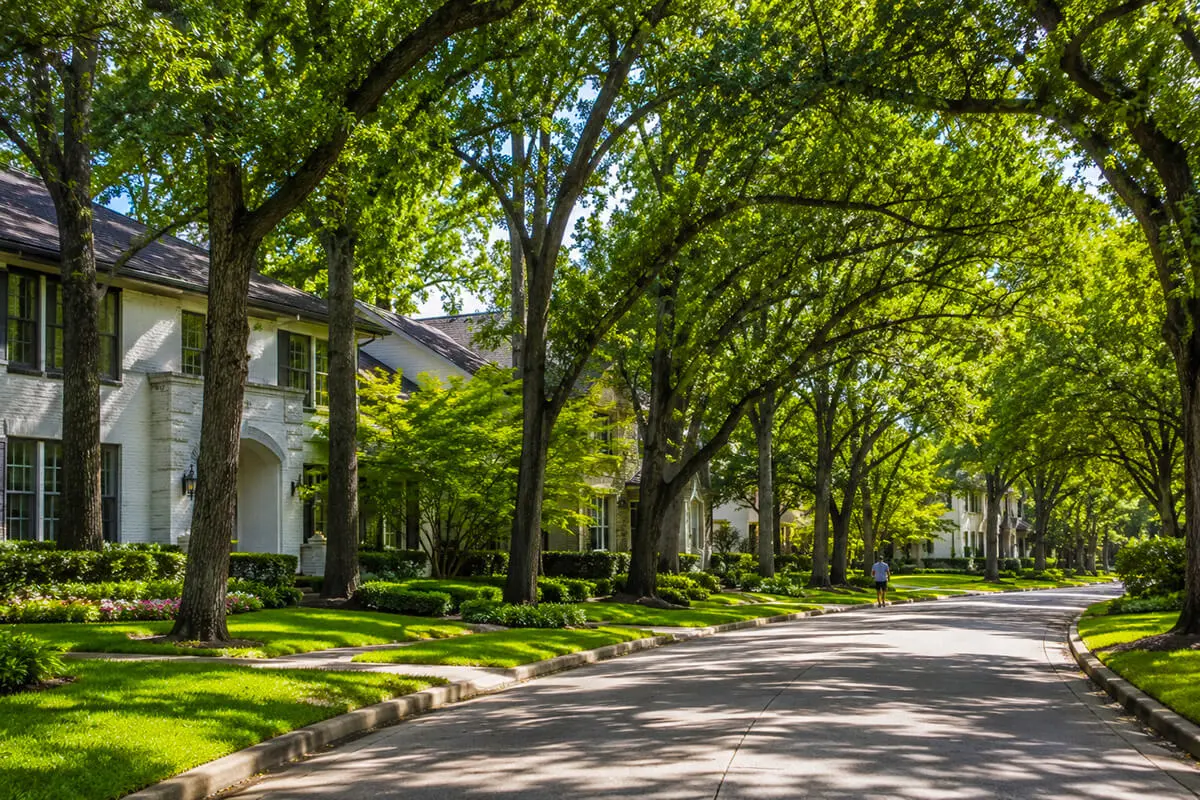 Tree-lined residential neighborhood in Memorial TX with upscale homes